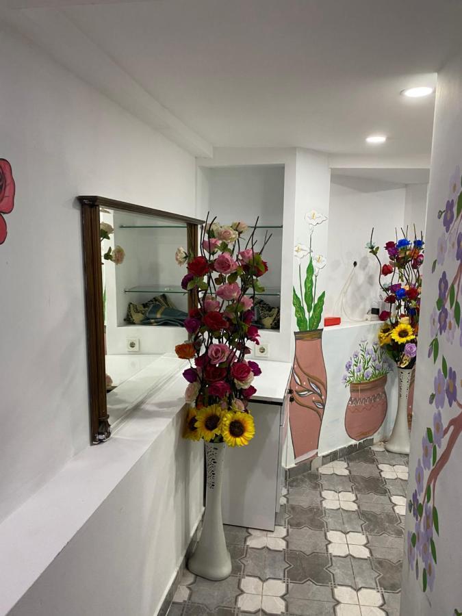 Sultanahmet Family Hotel Κωνσταντινούπολη Εξωτερικό φωτογραφία